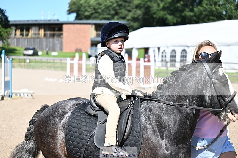 240729B-111949-02321 - Showjumping Competition