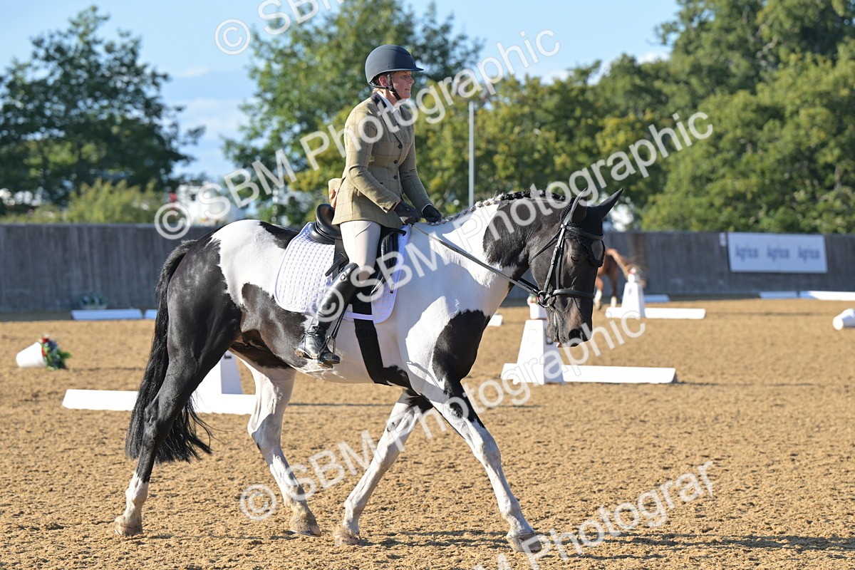 SBM_13059 - D3 - Small Tour Championship Intro 3