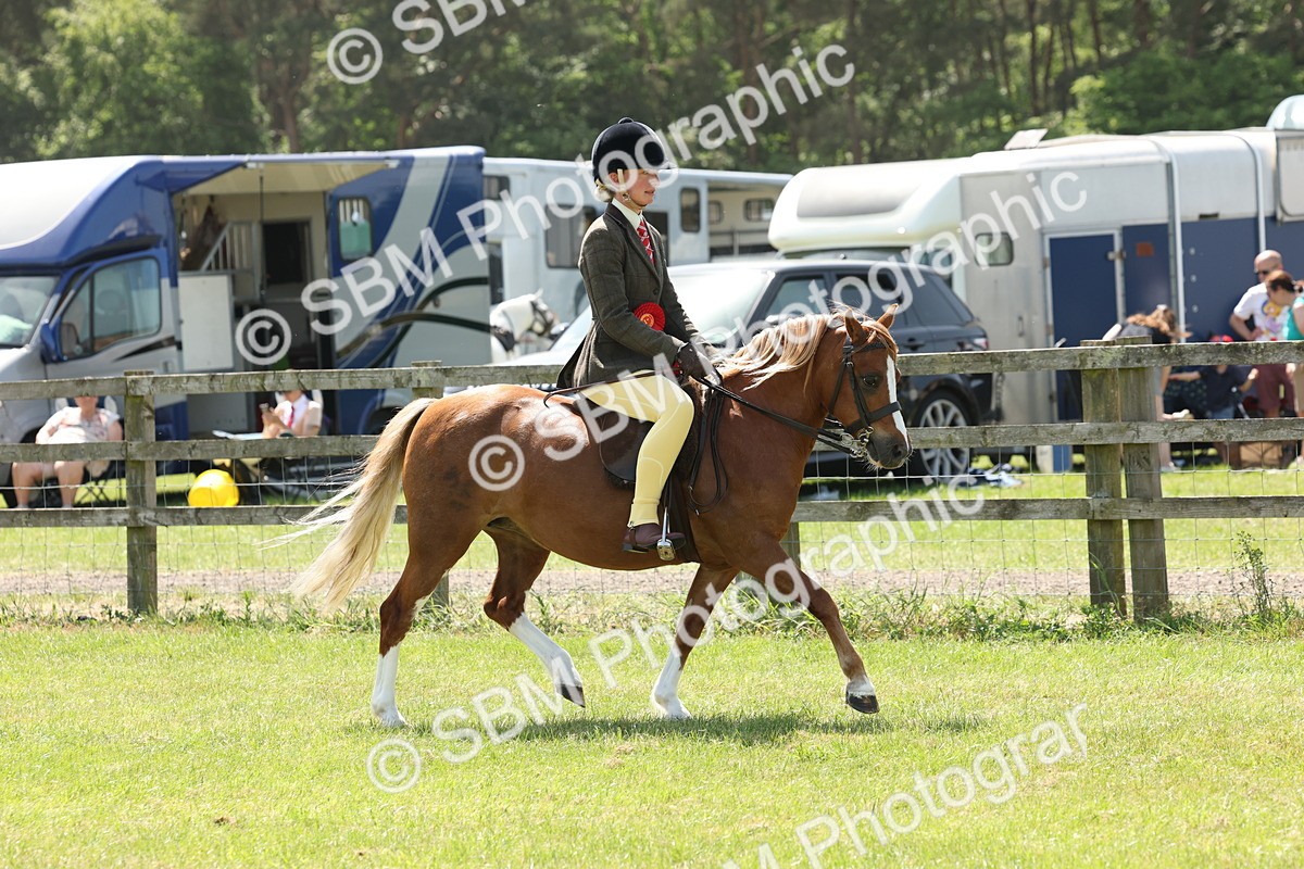 SBM_06783 - Class 26-30 - Mountain and Moorland Ridden