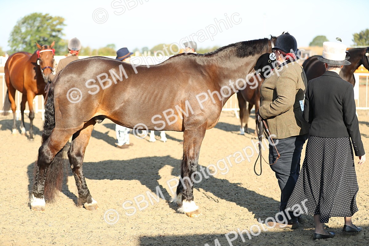 SBM_00020 - Class 40 Best Turned Out IH