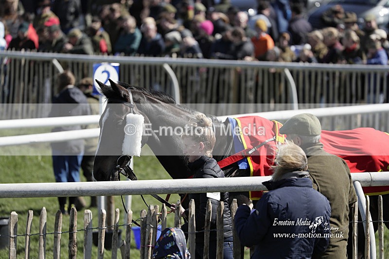 PtP 100423 560 - Old Berkshire Point-to-Point Lockinge 10/04/23