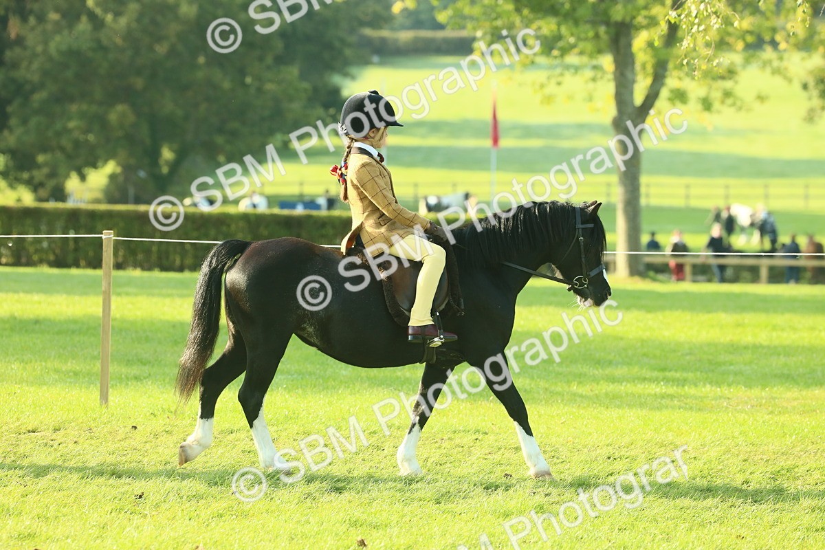 SBM_59120 - S38 - Starters Ridden Showing