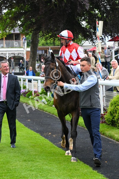 150524-Race 2-Aleezdancer-3910 - Race 2 2.45pm Churchill Tyres Handicap
