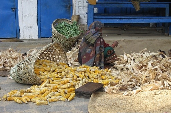  - Nepal