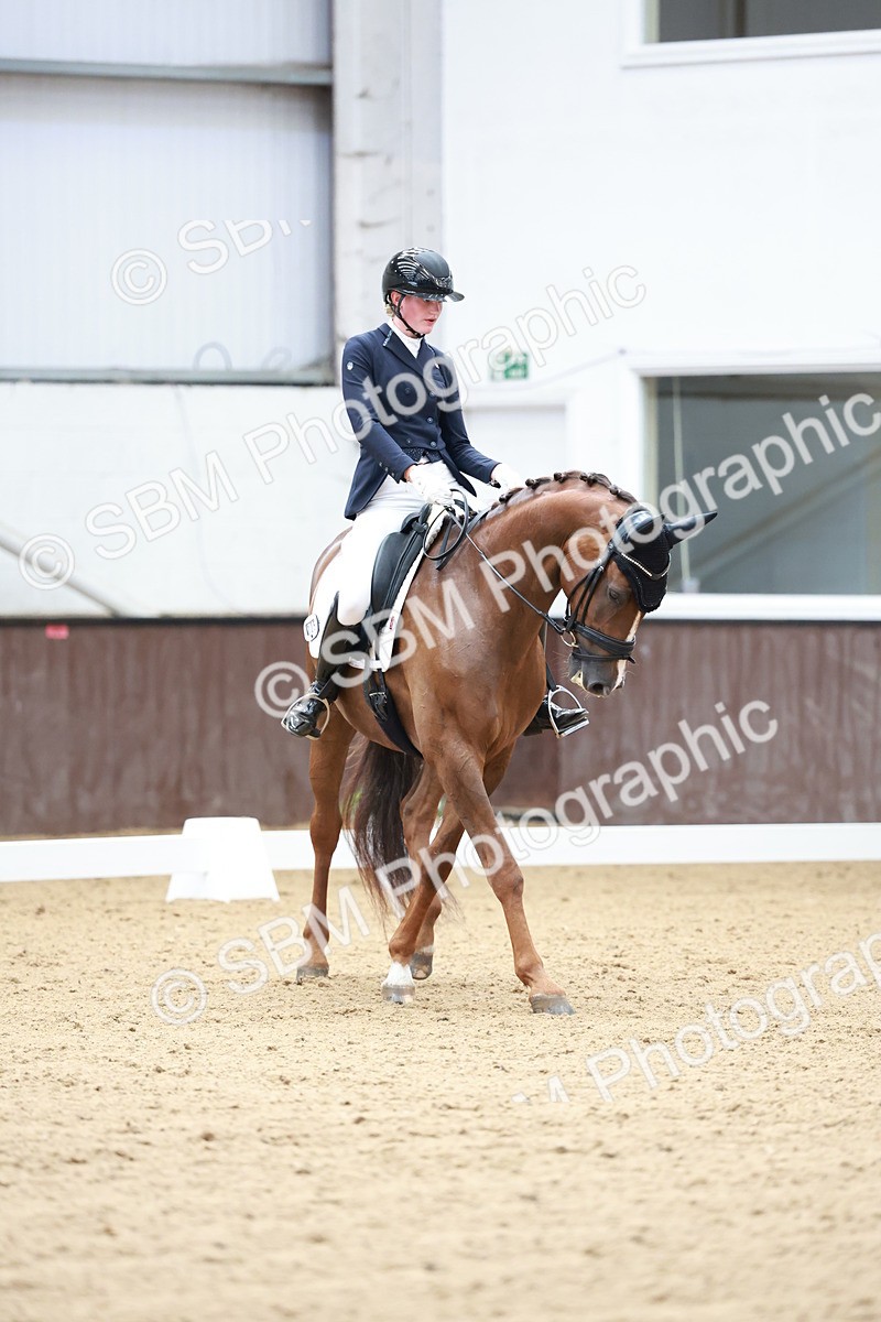 SBM_017969 - Class 15 - FEI Junior