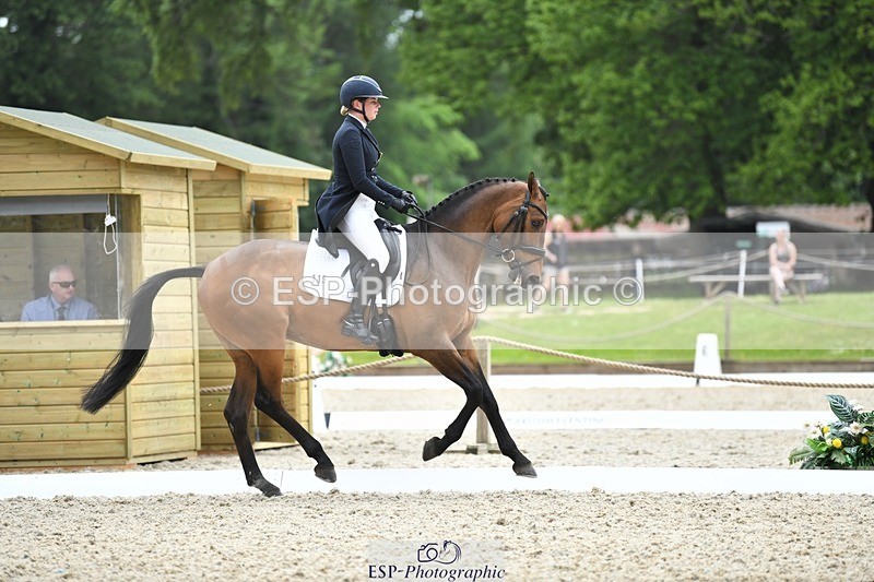 230525-131800-02134 - 115-RNH_ULTIMATE-Harriet_Wright-WEDTrotUp+DR