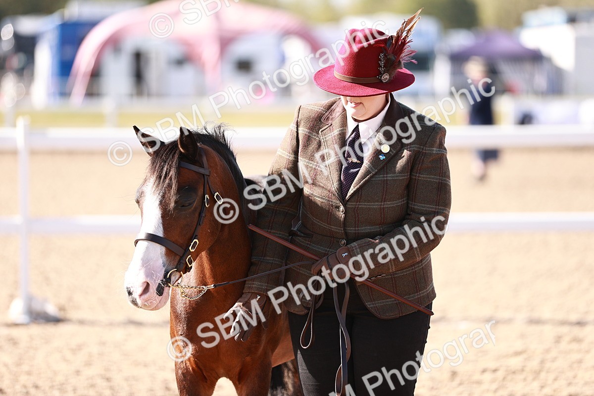 SBM_22718 - Class 704 - IH  Rescue