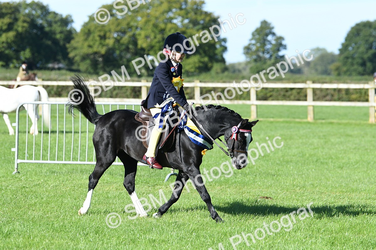 SBM_35621 - Top Turnout Supreme Championship