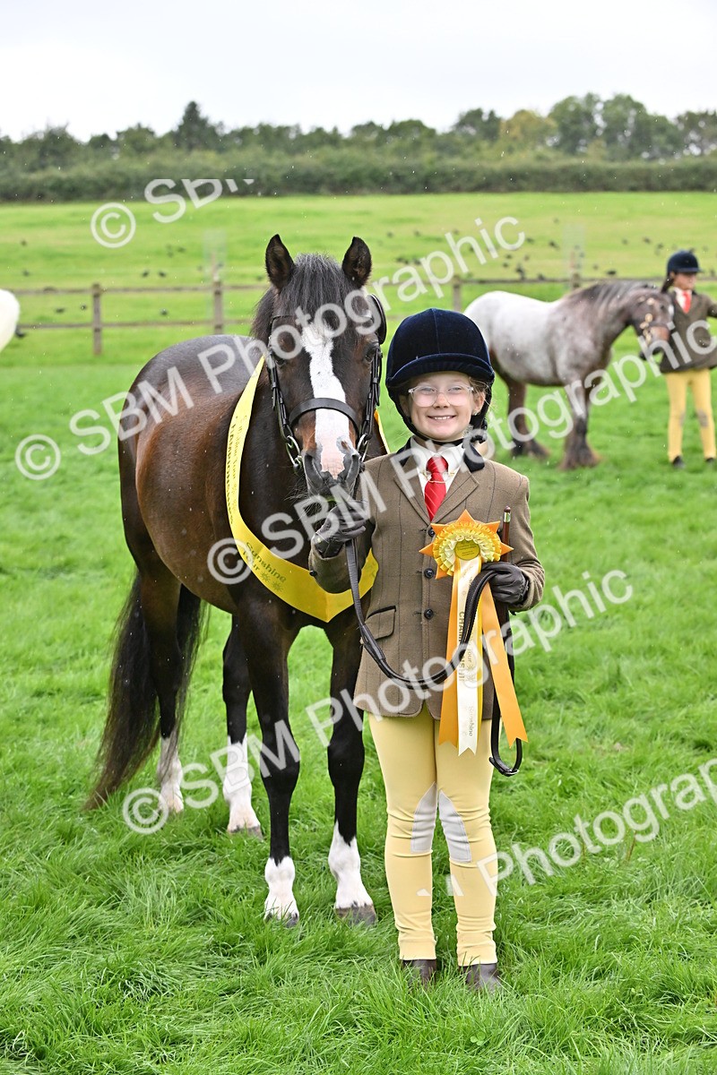 SBM_68618 - S42 - Junior Handler 9-12 Years