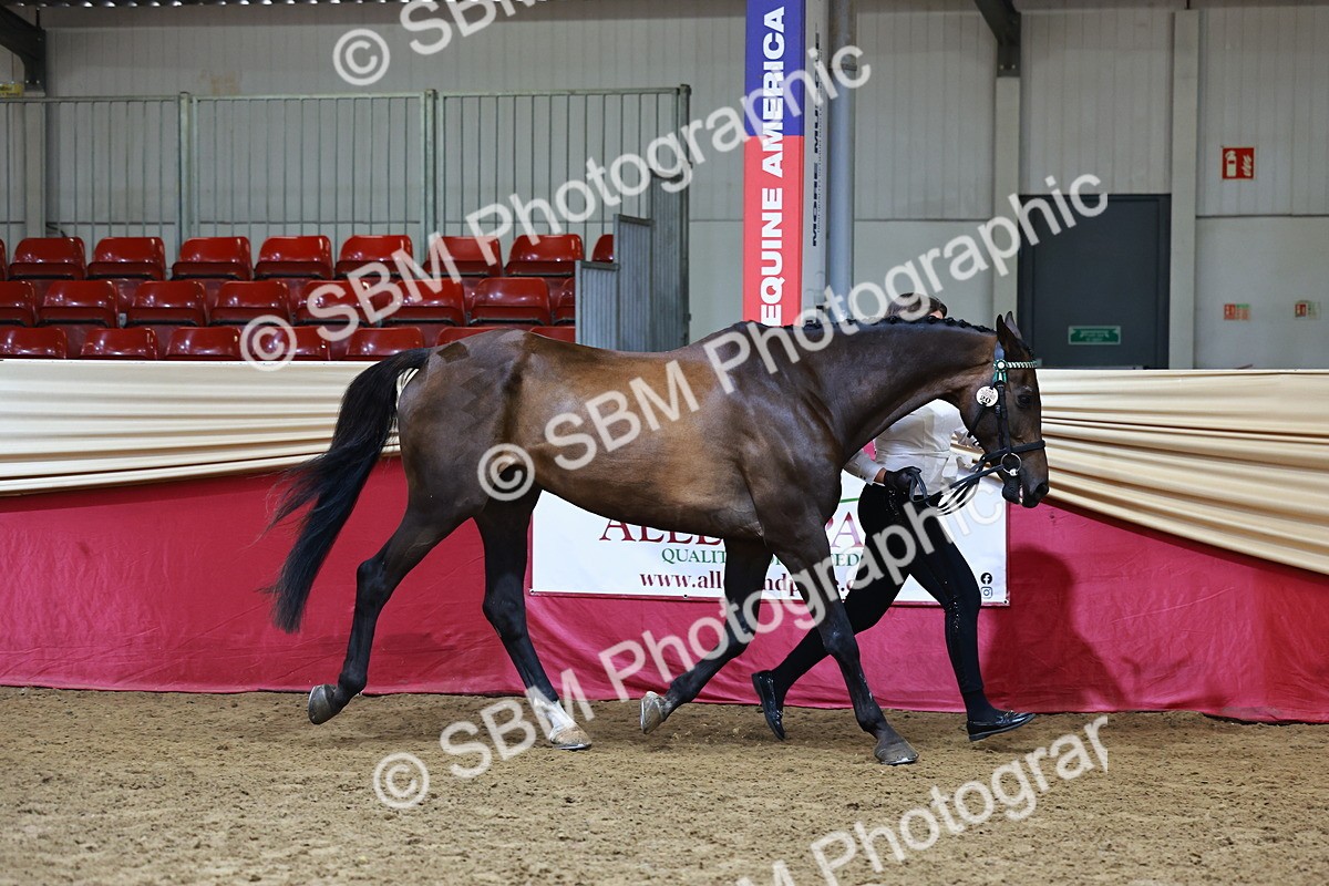 SBM_22217 - Class 902 - Supreme Final - IH Diamond