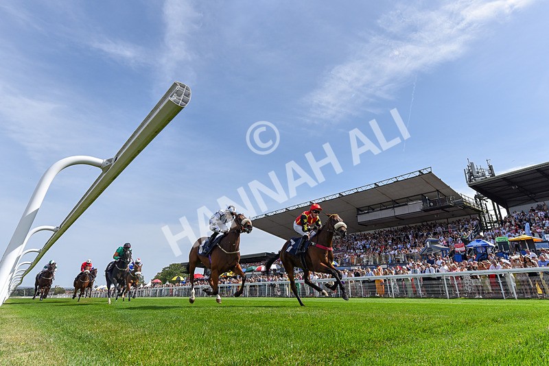 130825-Race 1-Arduis Invicta-2 - Race 1