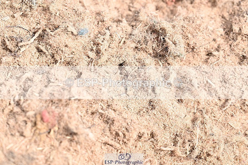 250620-120448-03286 - UnA Cls 5+6 - Novice 1+3