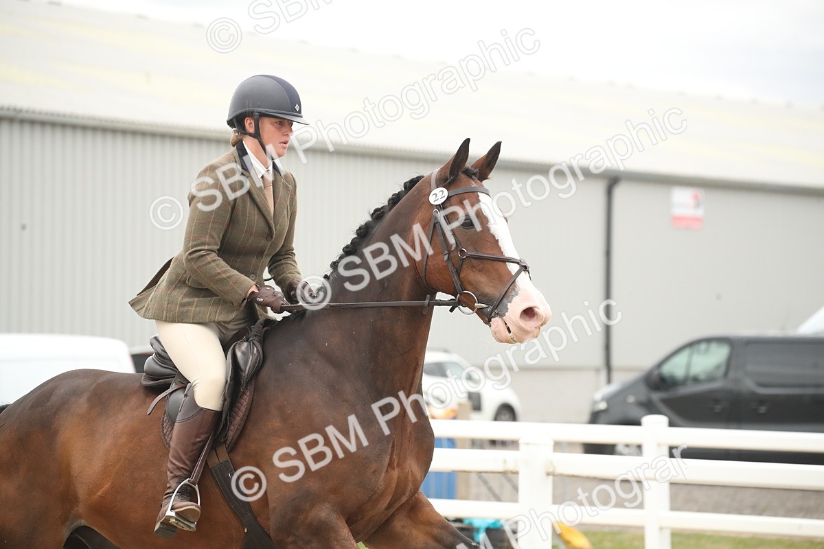 SBM_18387 - Class 509B - Working Veteran - 80cm (20+)