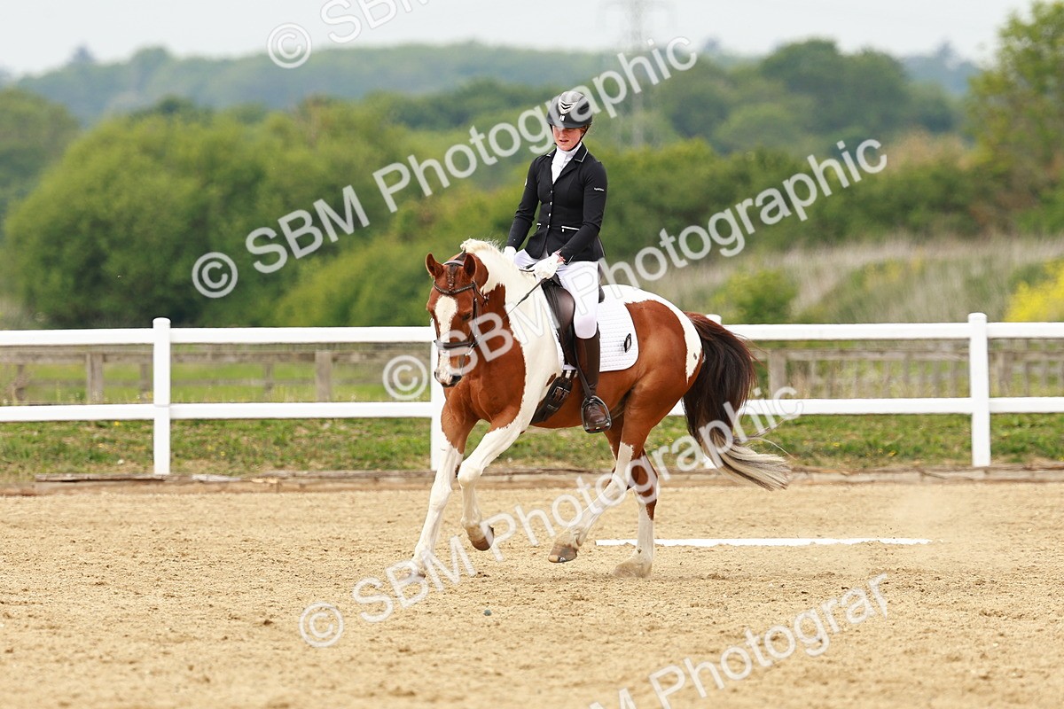 SBM_001689 - Class 7 - Novice 5