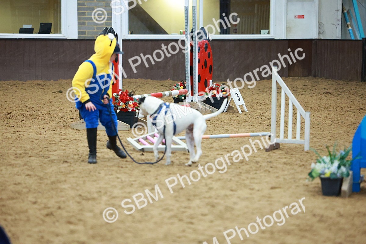 SBM_002276 - Class 3 - Horse & Hound (60cm)