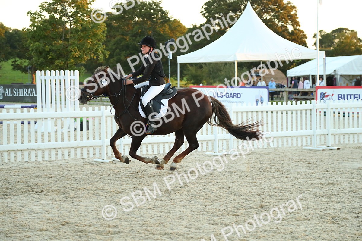 SBM_56919 - Supreme Championship - PM