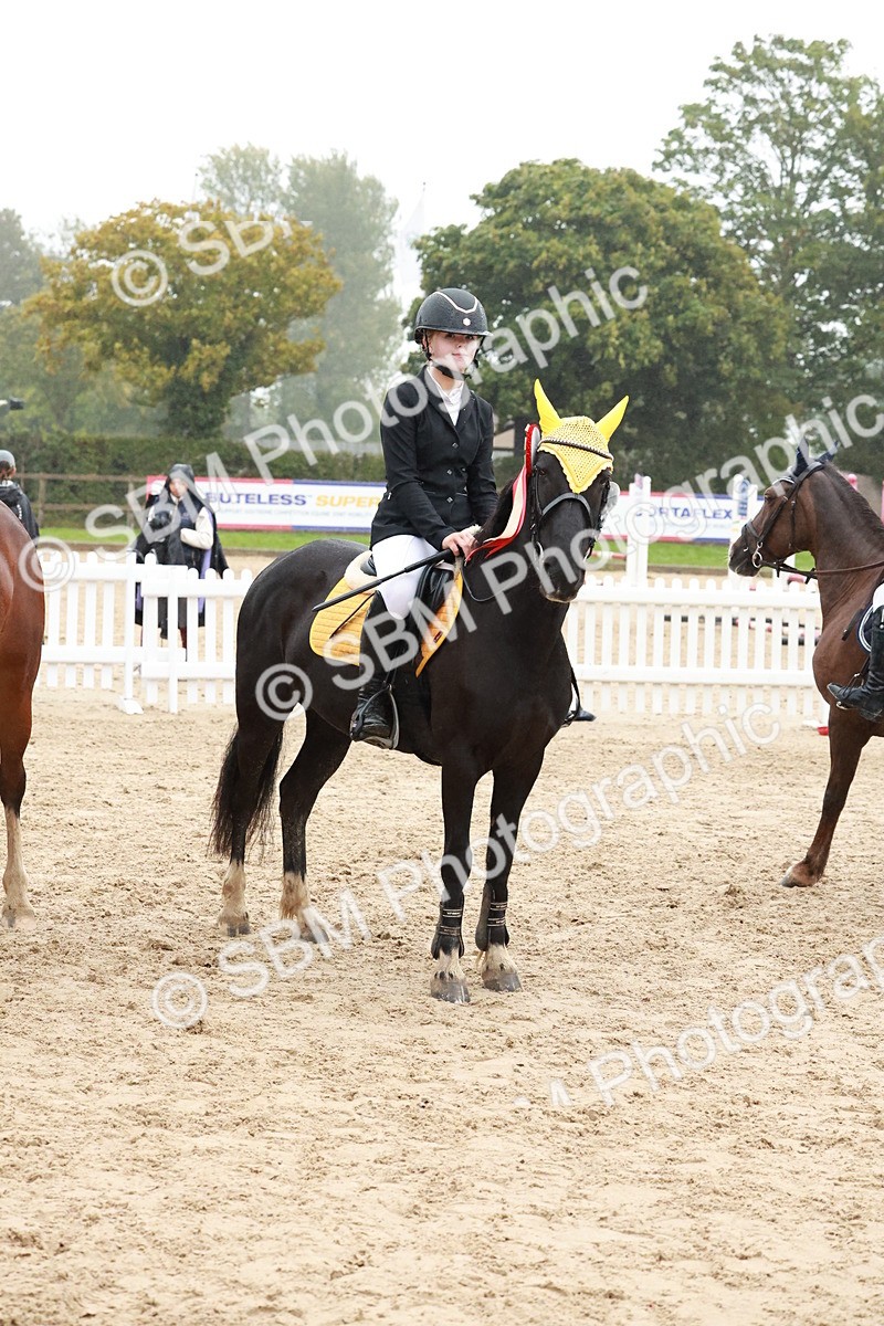 SBM_73600 - Supreme Championship Junior Pony 60cm & 65cm