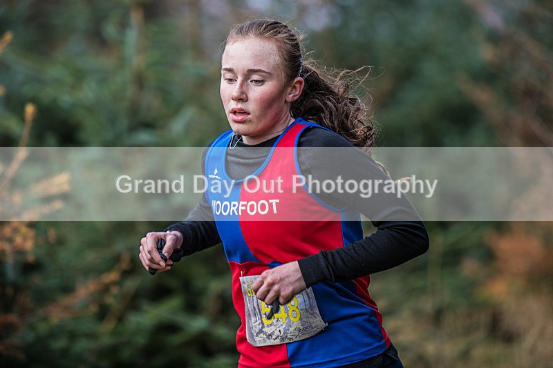 Glentress-679 - High Terrain Events Glentress 21 & 10K Trail Races Saturday 15th November 2025
