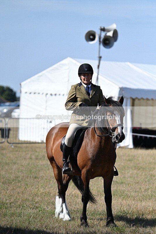 WJ7_3618 - Class 9 Mountain & Moorland Ridden