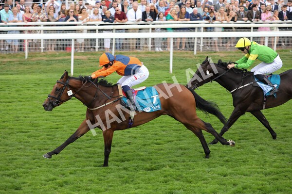 yr23072022r7-20 - Race 7 5.35pm Sky Bet Paying Extra Places Stakes