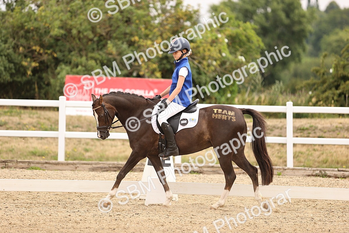 SBM_006402 - Intro 3 - 9.46-10.46