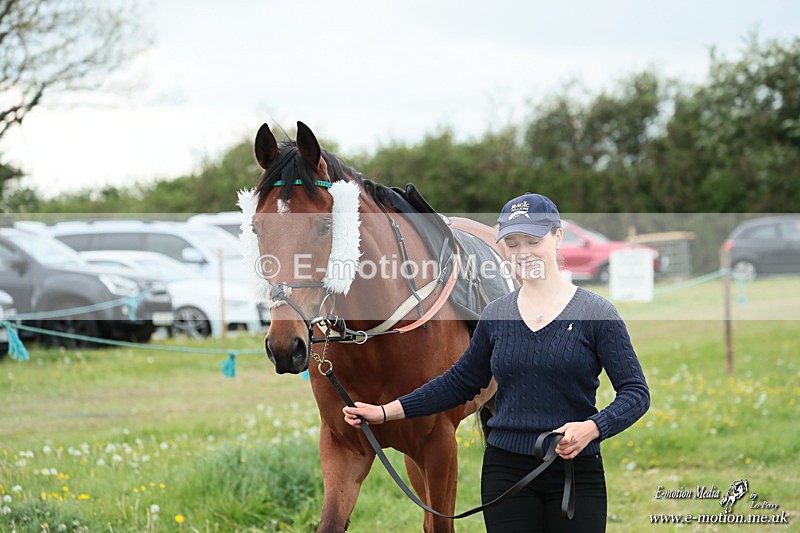 PtP 040526 562 - Mollington Point-to-Point 04/05/26