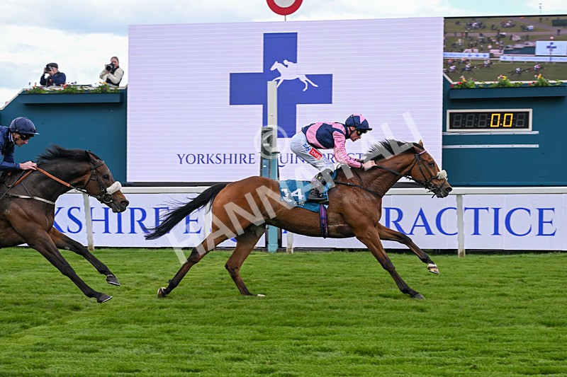 150526-Race 1-Zarathos-6928 - Race 1 1.45pm Yorkshire Equine Practice Handicap