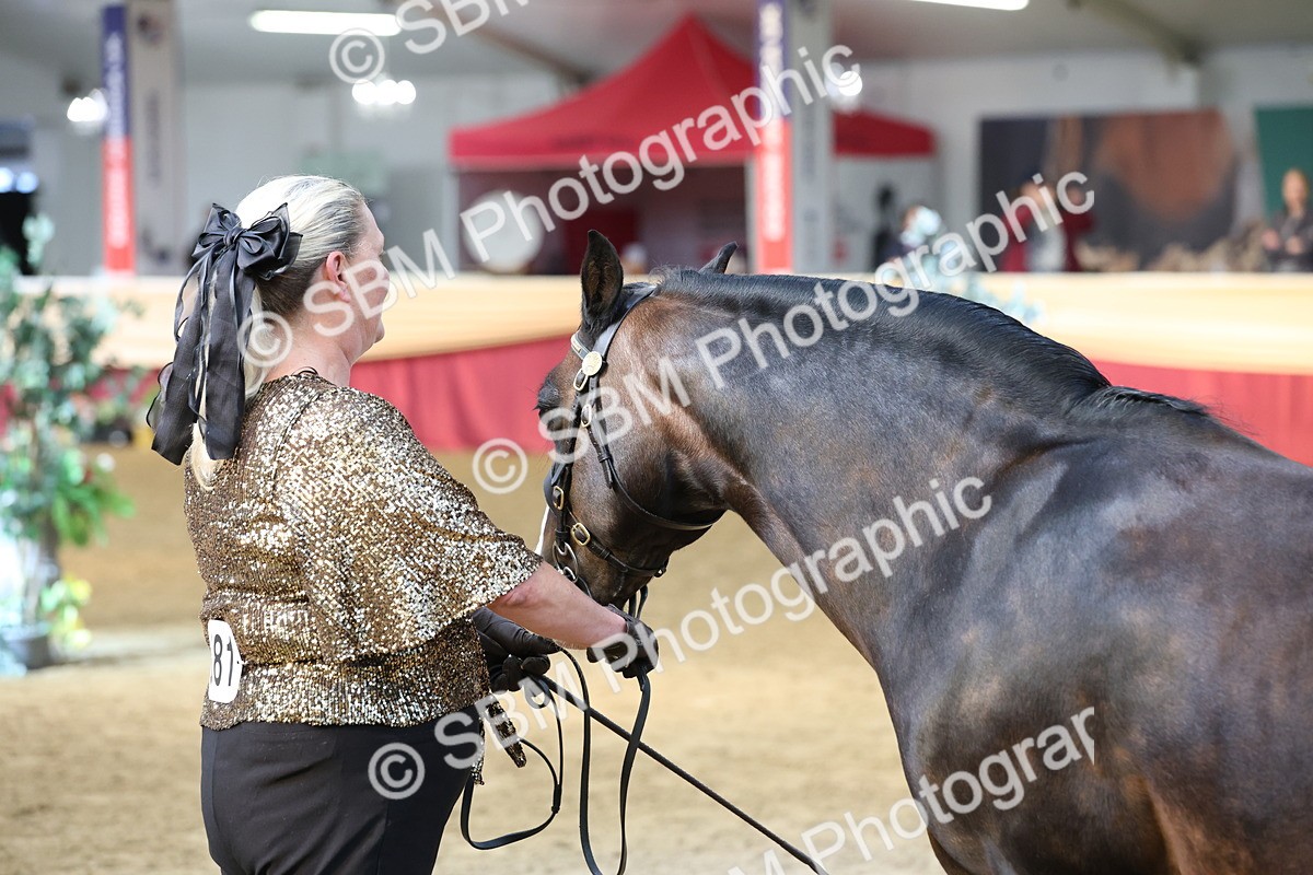 SBM_22543 - Class 902 - Supreme Final - IH Diamond