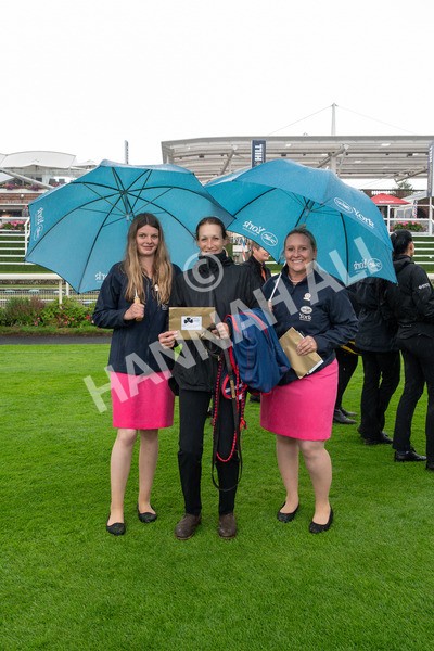 140723-Race 6-Copper Knight-0053 - Race 6 4.55pm Irish Thoroughbred Marketing Handicap