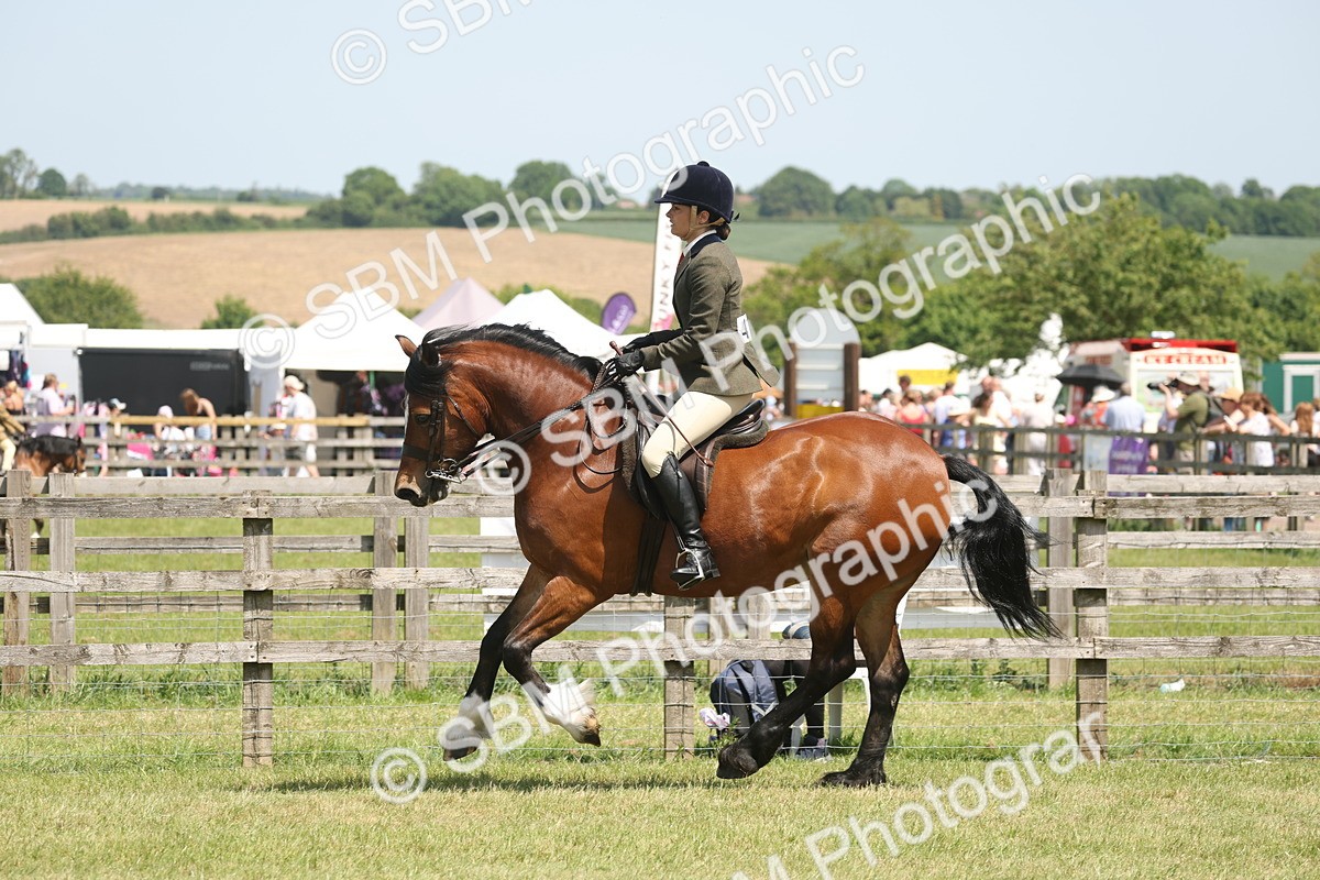 SBM_06945 - Class 26-30 - Mountain and Moorland Ridden