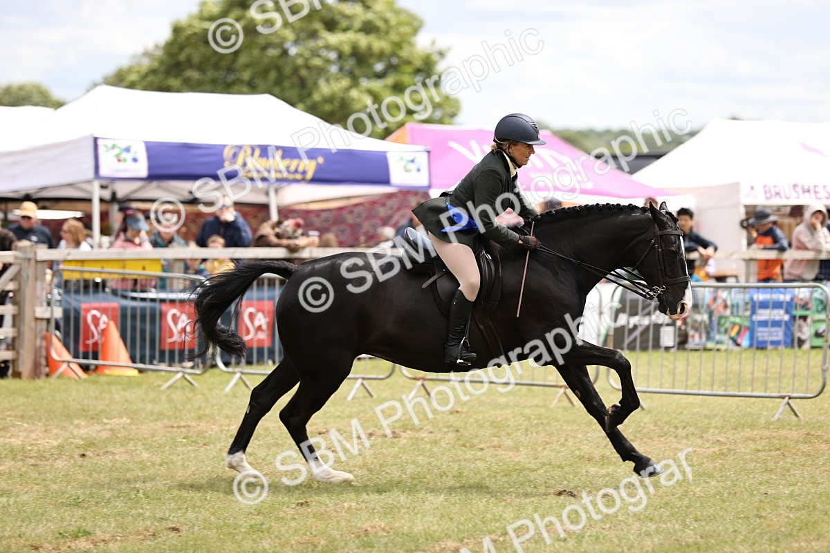 SBM_14810 - Class 88-89 - LIHS BSHA Rising Star of Ridden Hunter Type