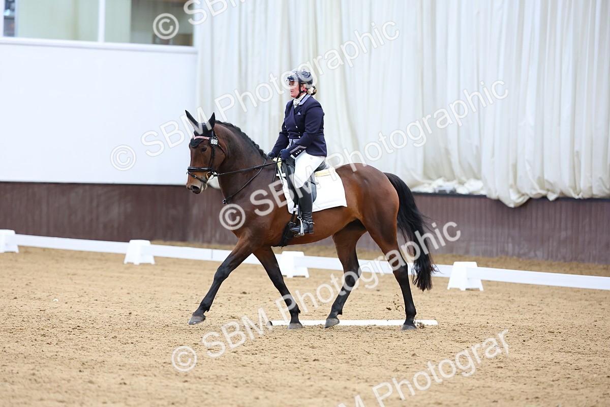 SBM_002300 - Novice 2