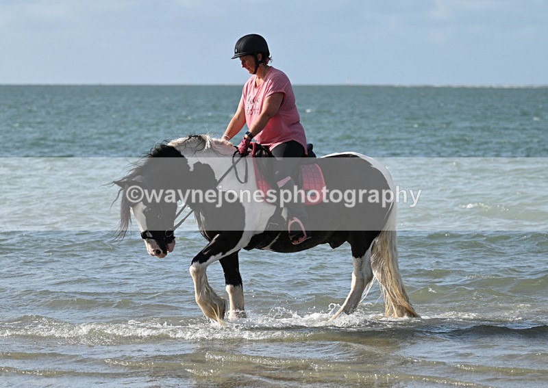 WJ7_4146 - Kellie & Churchill ... do Hayling Island 25-08-24