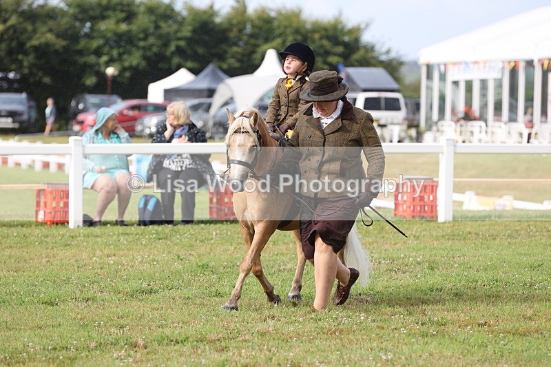 JPP_0395 - Class 14: Cornish Combination Leading Rein