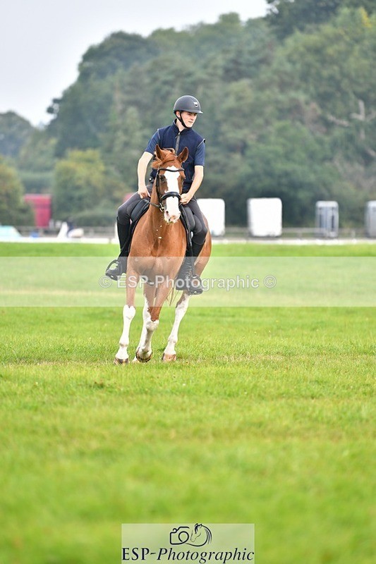 230817-092011-02534 - Abbie's 1st Group - Dressage