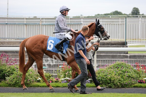 yr23072021r5-5 - Race 5 8.00pm Gallop Racing Stakes