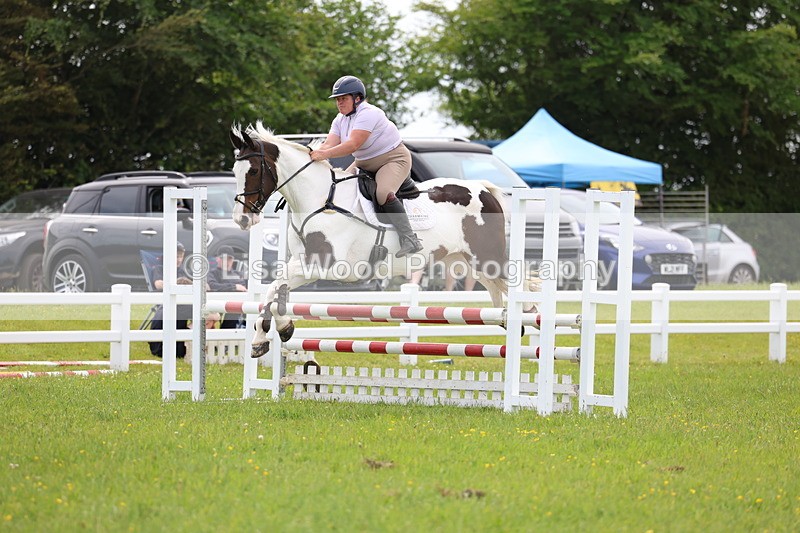 3E7A1691 - Class 13: Senior British Novice/90cm open