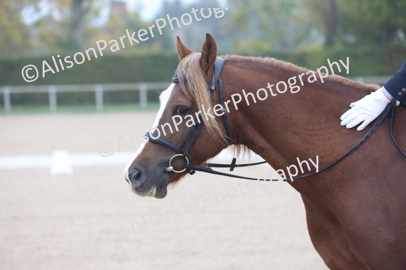 20251012-0032 - Class 1 - Prelim 5