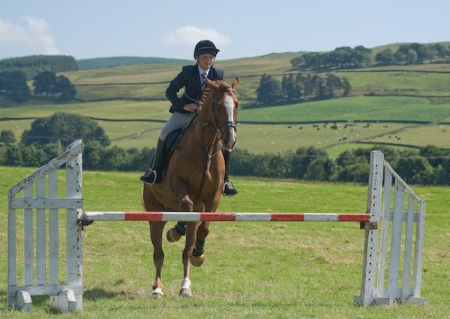 113 - Moniaive Horse Show 2008