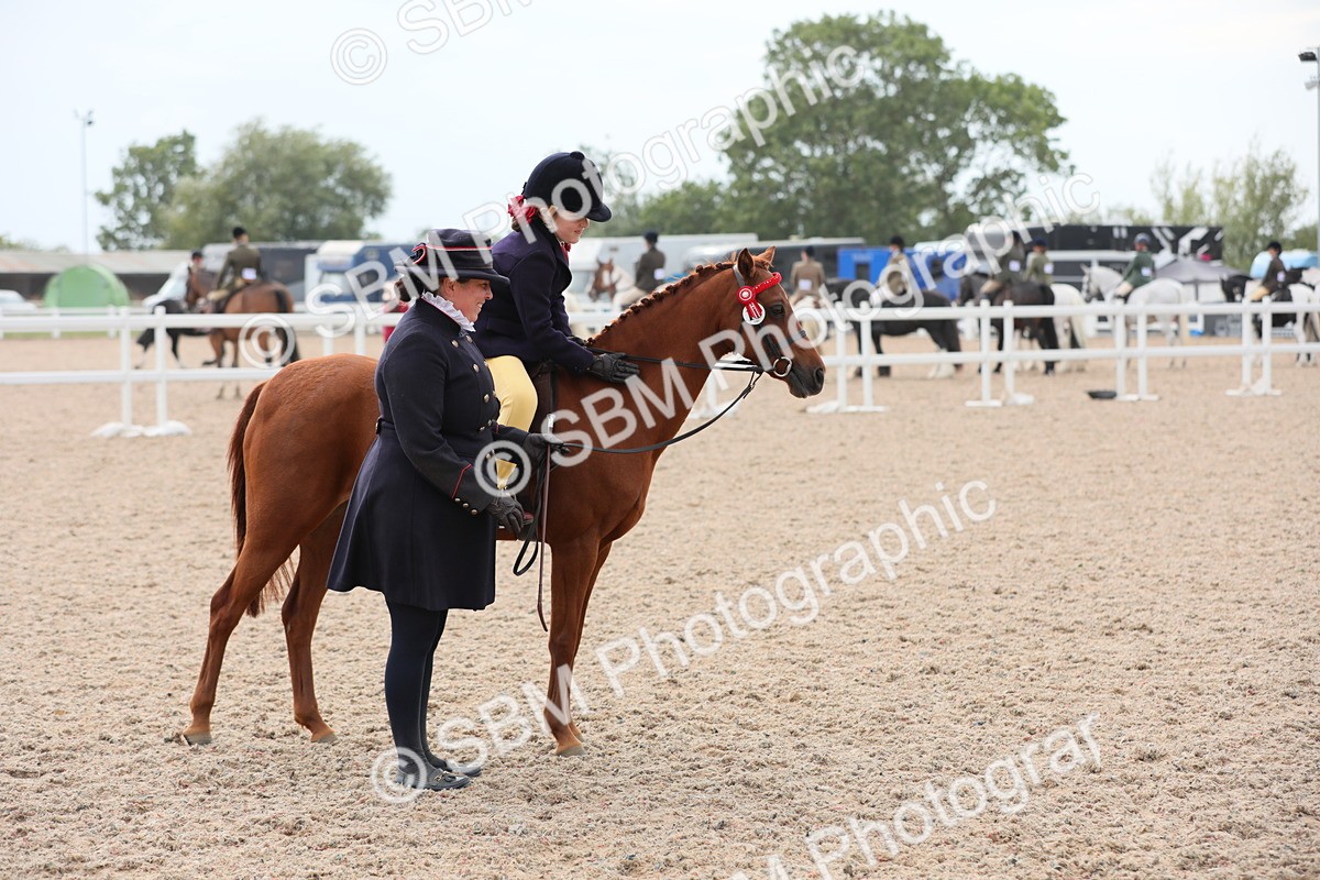 SBM_16908 - Class 314 Family Horse/Pony