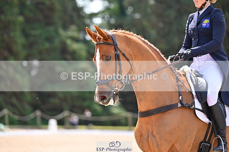 250523A-114717-06348 - D-474-Lissa.Green-IGOR.G