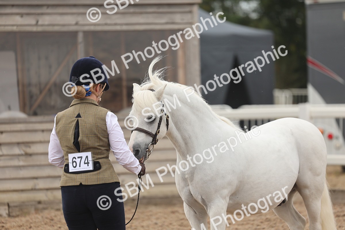 SBM_00600 - Class 13 Young Handler