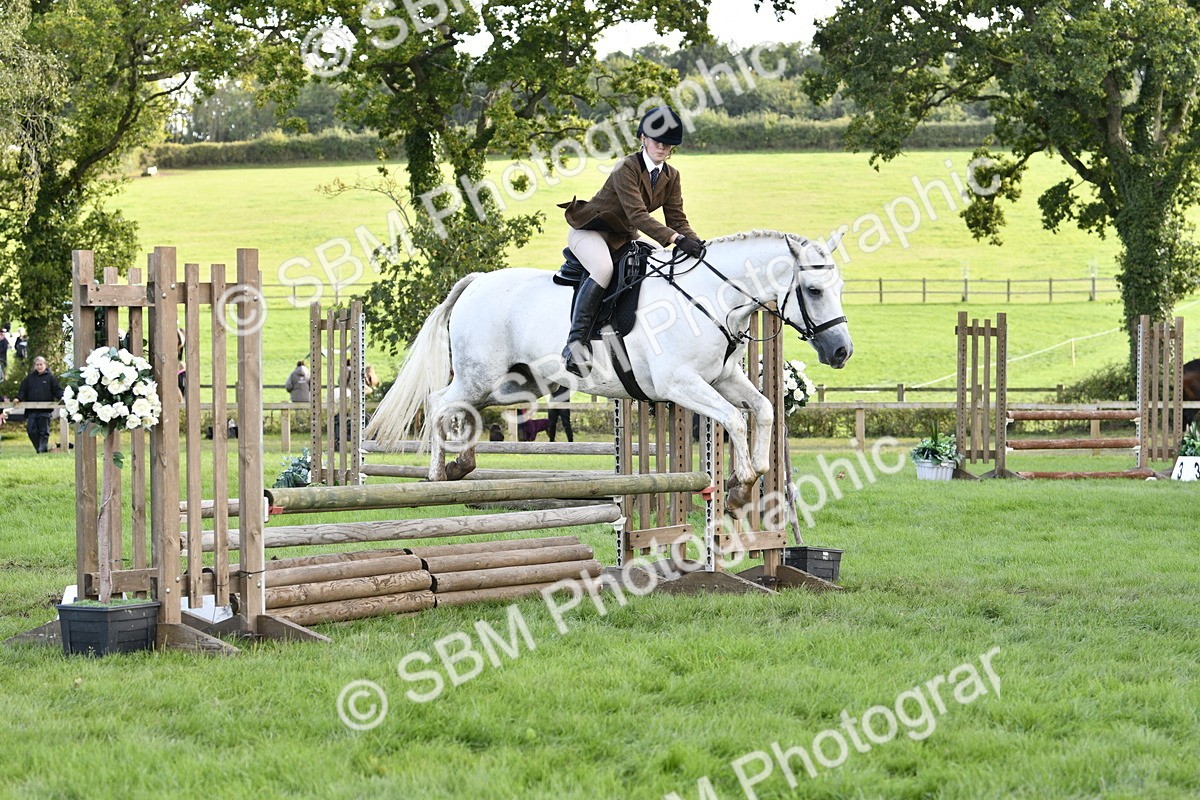SBM_52184 - S35 - Working Hunter & Working Show Horse