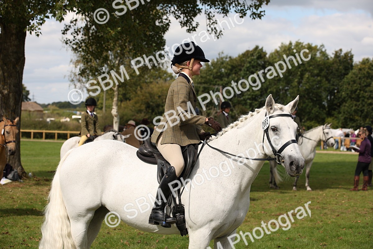 SBM_42385 - S13 - Pony Club Pony