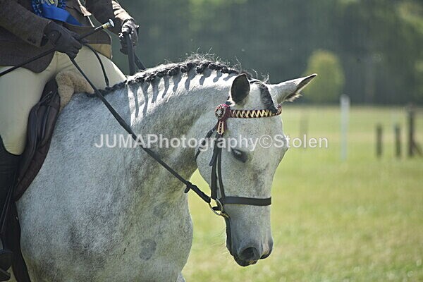 DSC_9276 - Rings 1 & 2