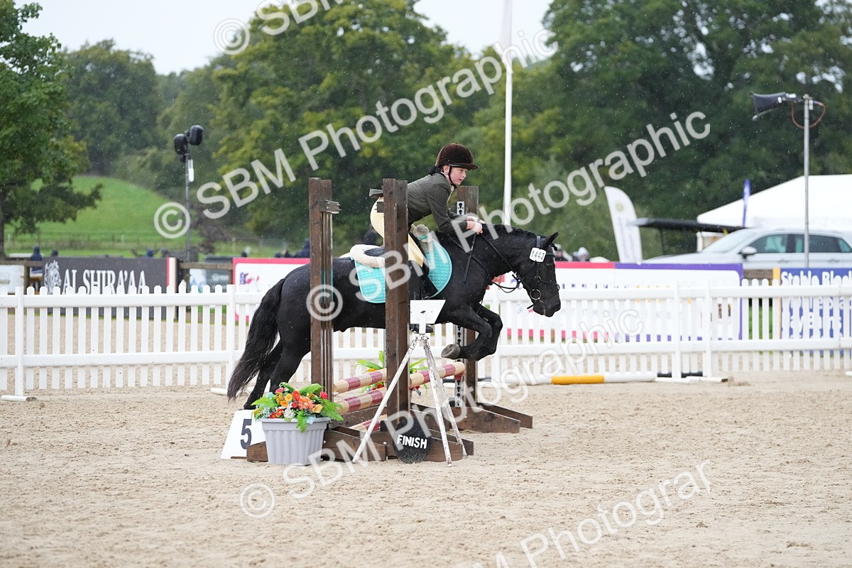 SBM_33851 - J5 - Junior Pony 50cm Championship