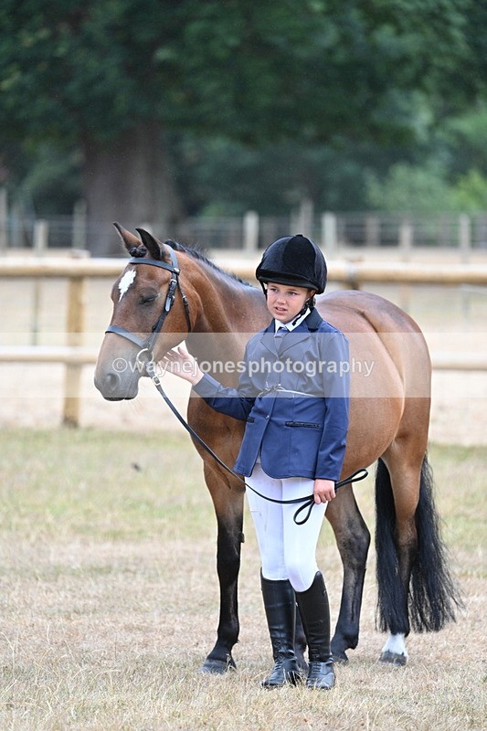 WJ7_9553 - Class 5 Most Handsome Gelding (up to 14.2hh)