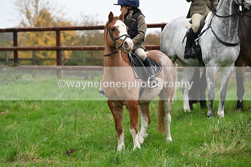 WJ6_6011 - The Meet