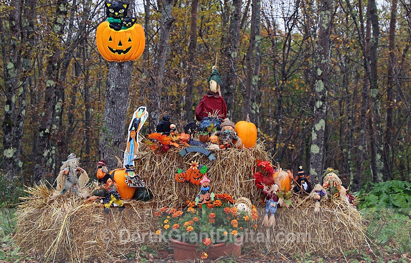 All Hallows' Eve Display - Autumn Festival