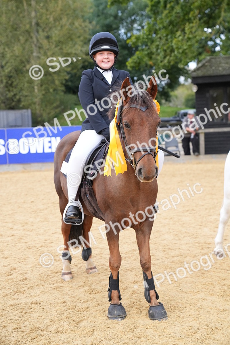 SBM_74937 - J4 - Mini Tour Junior Pony 45cm Championship